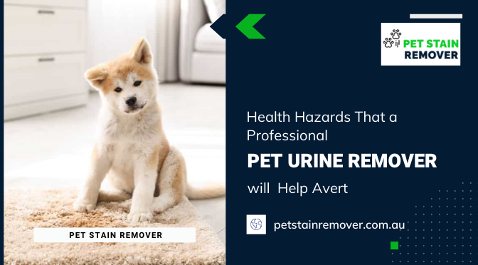 Health Hazards That a Professional Pet Urine Remover will  Help Avert