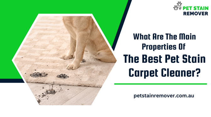 What Are The Main Properties Of The Best Pet Stain Carpet Cleaner?