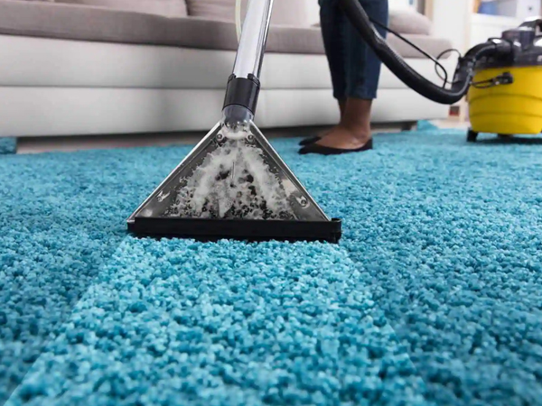 What are the benefits of booking a professional carpet cleaning service?