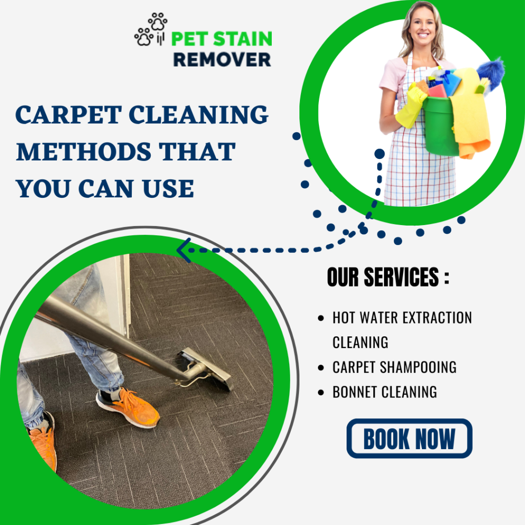 What Are The Best Office Carpet Cleaning Methods? Things You Must Know