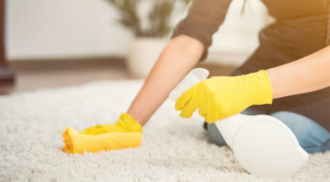 What Products Should You Avoid Using for Pet Stain Removal?