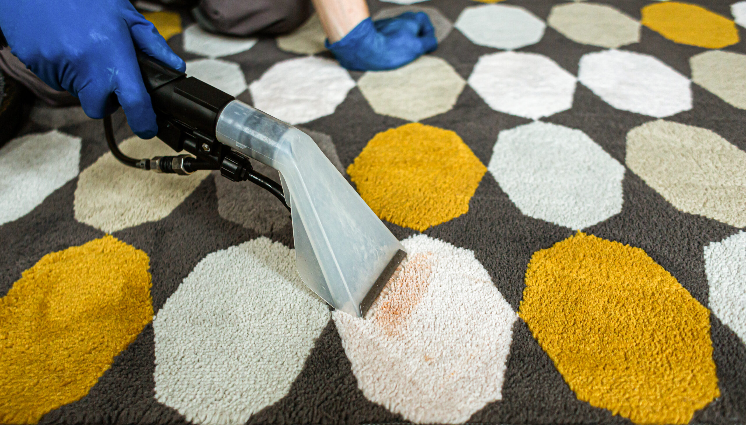 Safe rug cleaning methods 