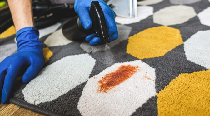 What Are the Best Ways to Remove Pet Stains from Delicate Rugs?