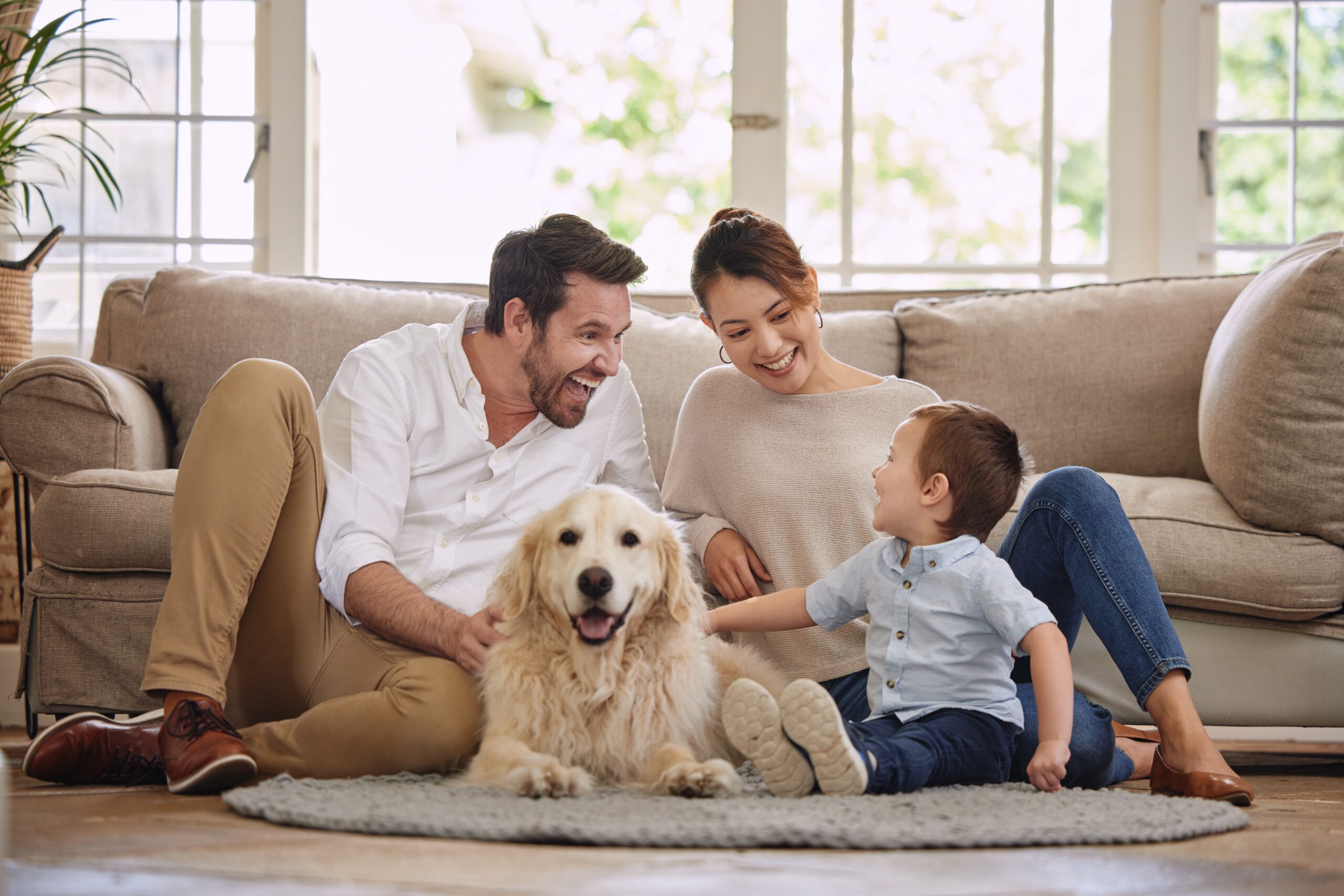 Professional cleaning solutions