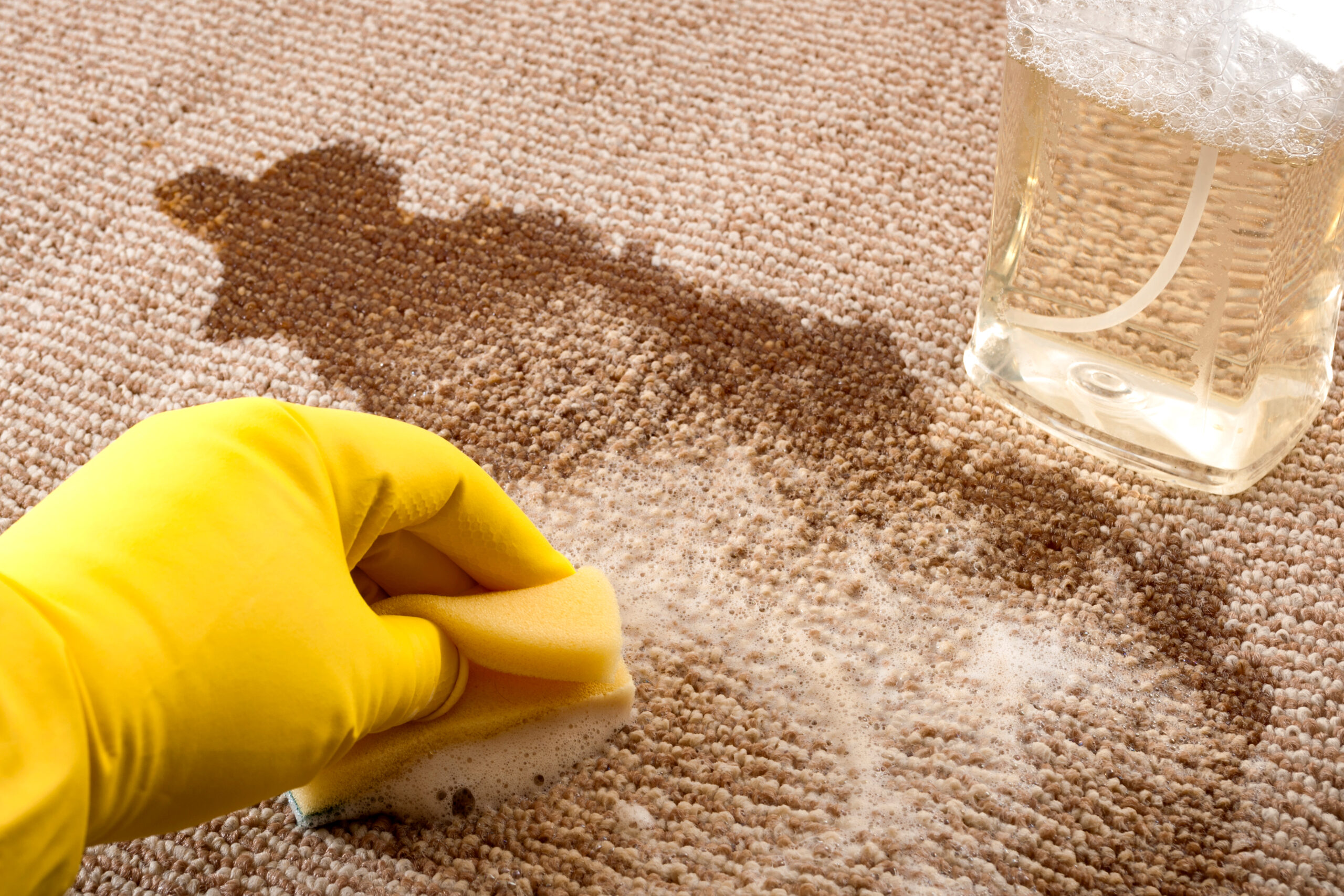 Odour-free home cleaning tips