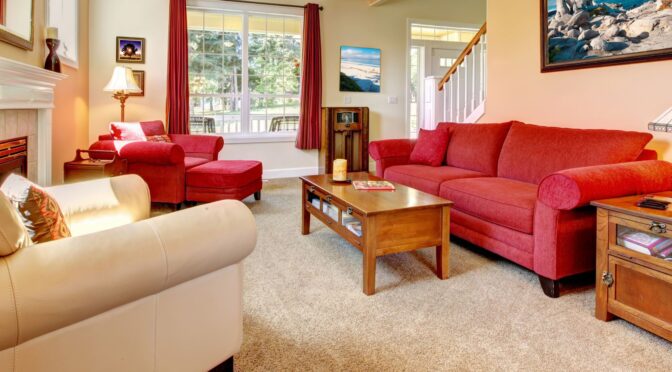 How Can Pet Stain Removal Services Restore Luxury Carpets?