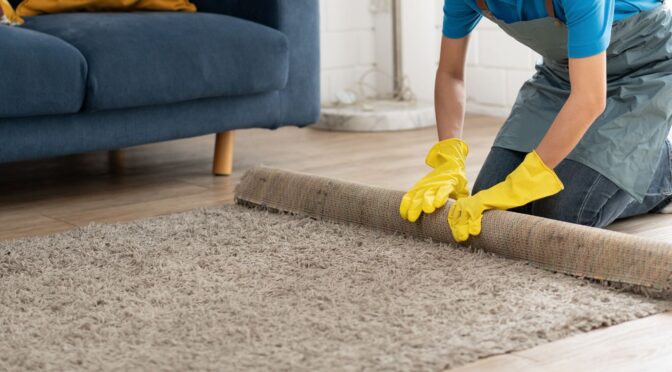 Why Should Pet Owners Invest in Regular Carpet Deodorising?