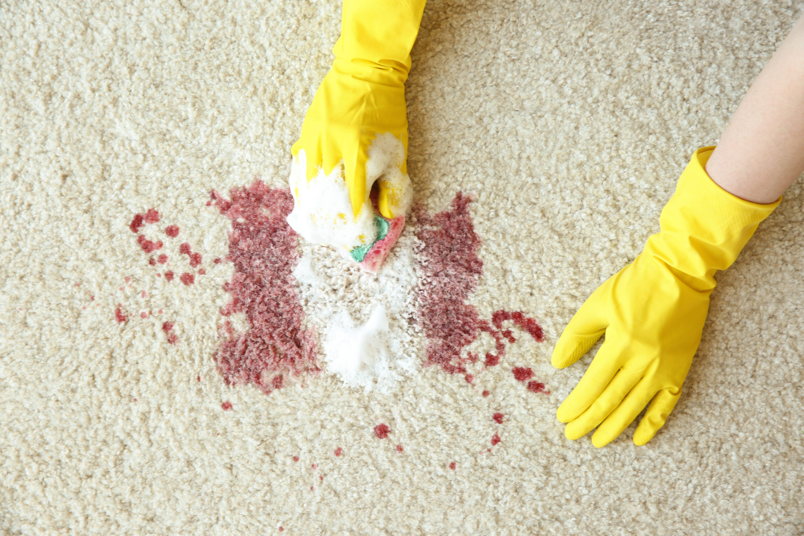 Pet-safe carpet care
