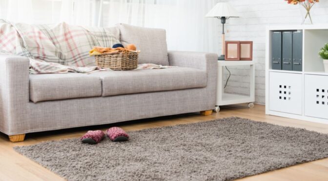 Why Are Natural Cleaners a Better Choice for Pet Stains?