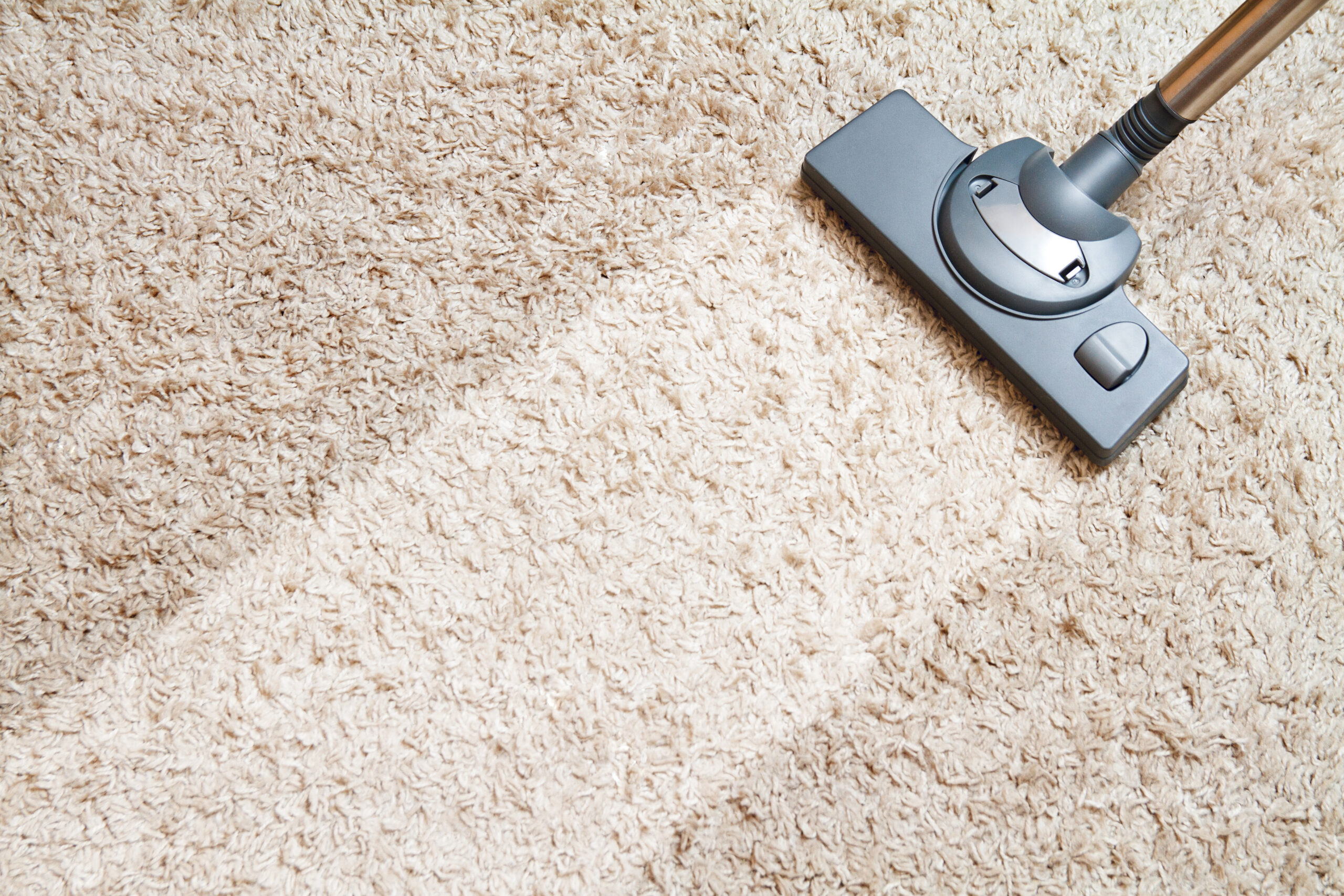 natural carpet care Melbourne