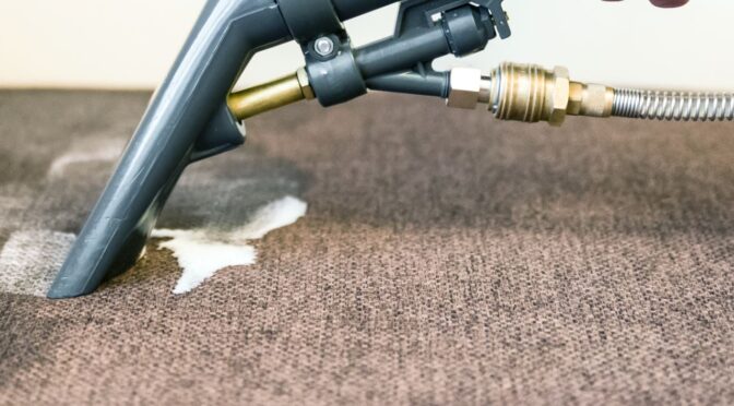 How Does Professional Pet Stain Removal Improve Carpet Longevity?