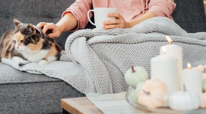 What Are the Common Challenges in Pet Odour Removal?