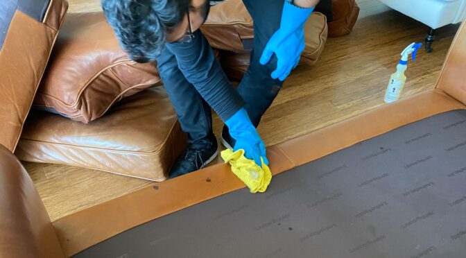 How to Remove Pet Stains from Carpet: A Simple Step-by-Step Guide