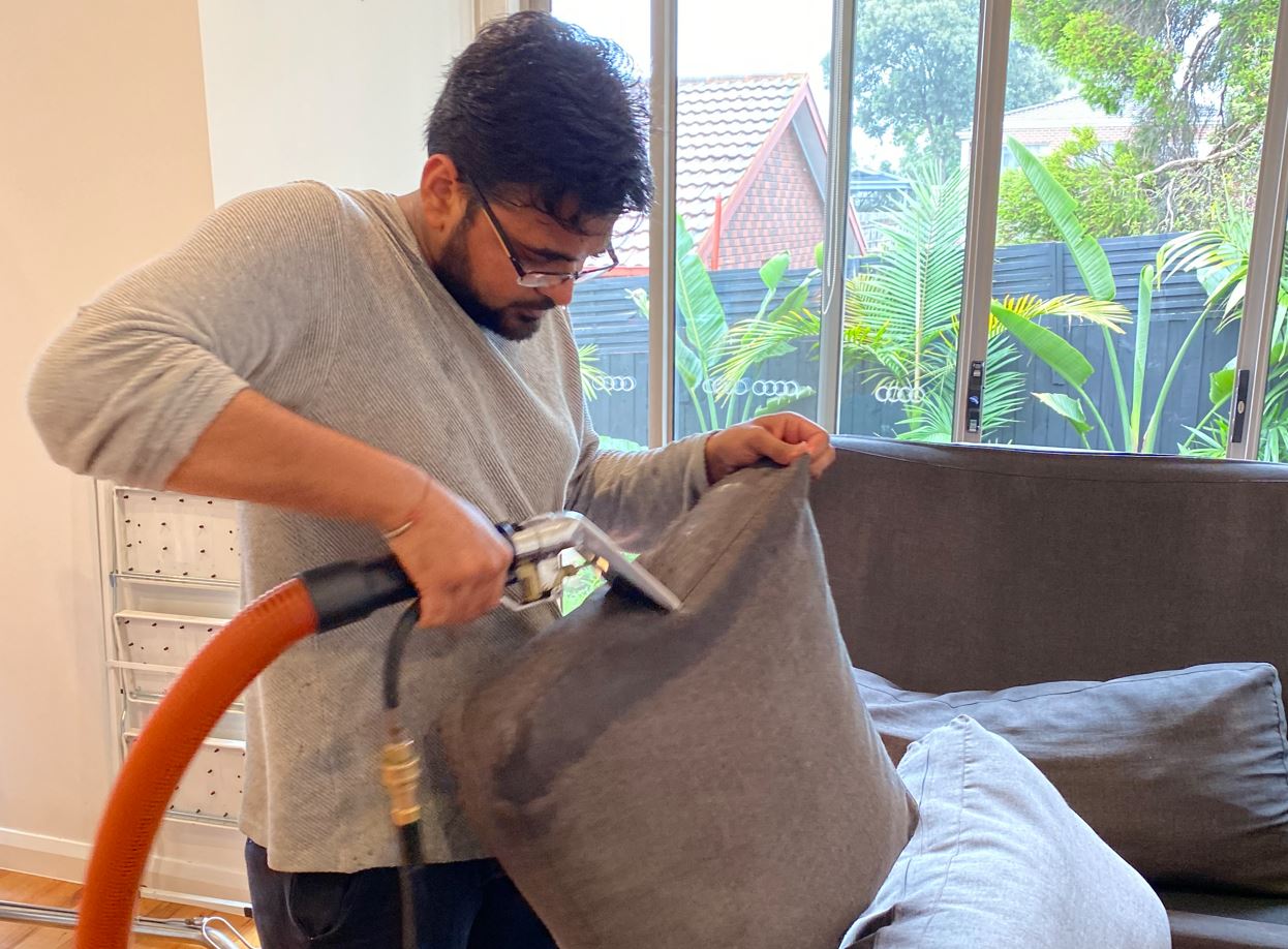 pet stain treatment at home 