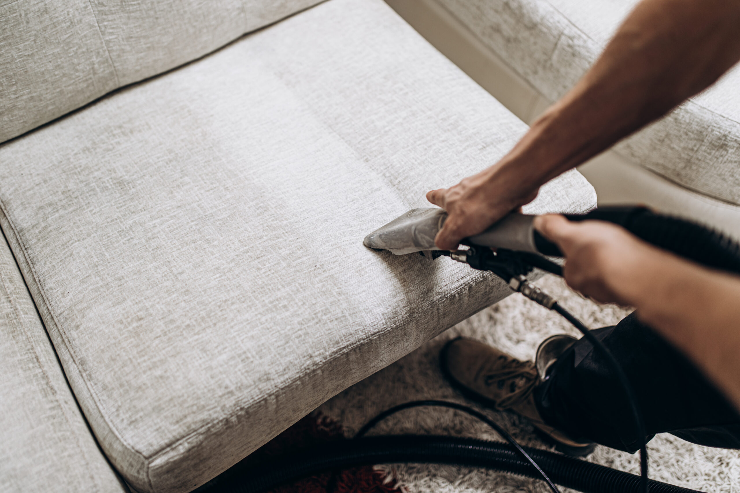 Expert pet stain removal for carpets in Melbourne