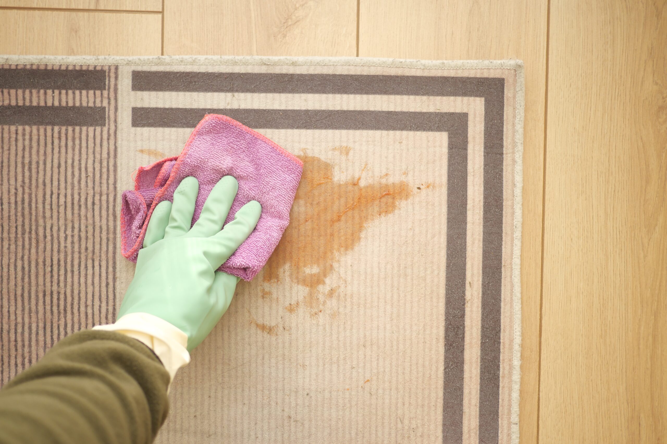 A person wearing a green cleaning glove uses a purple cloth to wipe a brown stain from a light-colored patterned carpet.