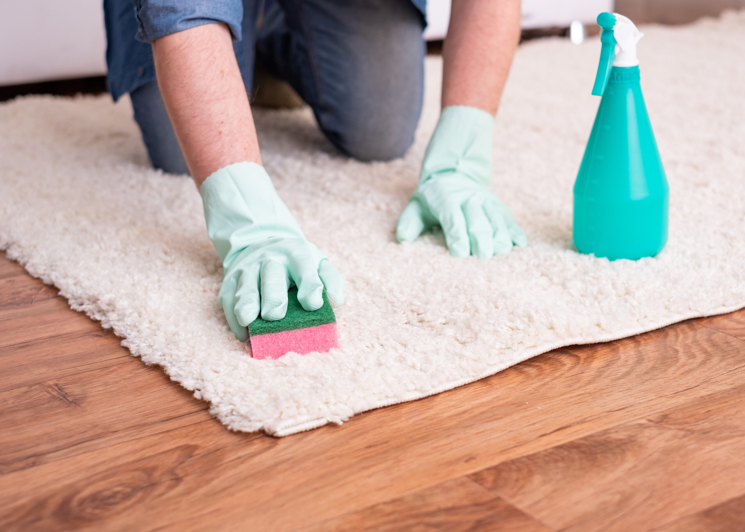 Person scrubbing a carpet stain with gloves, sponge, and cleaning spray, illustrating professional vs DIY pet stain removal and the effort needed to remove deep pet odors.