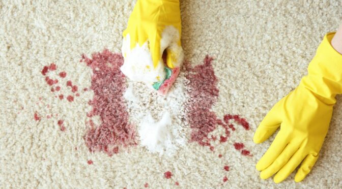 Why DIY Cleaning Often Fails for Pet Urine & Odour (And What Actually Works)