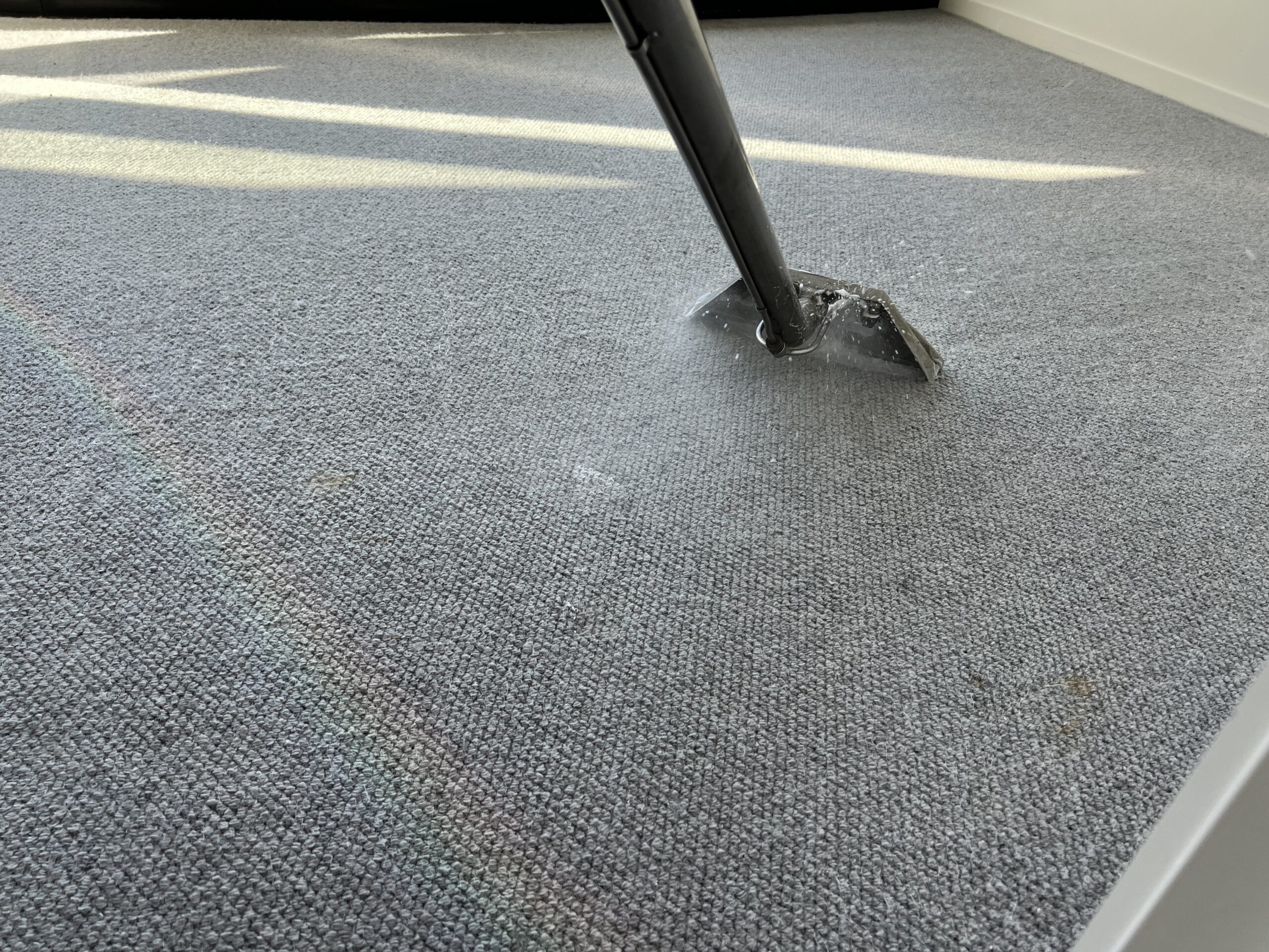 Close-up of a carpet cleaning wand extracting water from a light gray carpet, leaving a visibly cleaner path across the floor in a sunlit room.