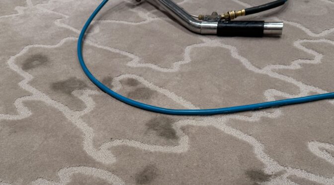 Close-up of stained rug surface during professional carpet cleaning treatment.
