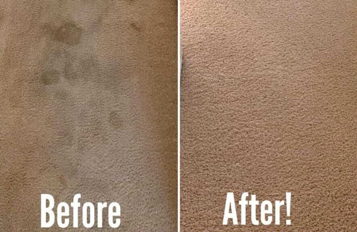 Side-by-side comparison of a beige carpet showing dark pet stains labeled “Before” on the left and a clean, stain-free carpet labeled “After!” on the right.