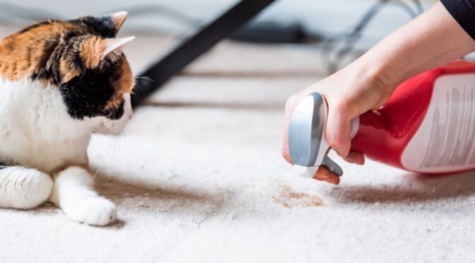 Pet-safe stain remover spray for carpets and upholstery