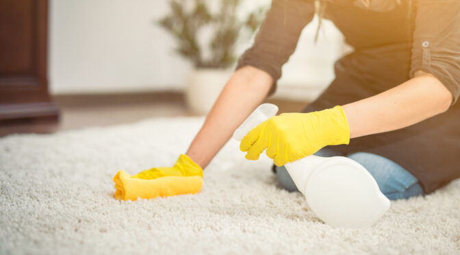 natural pet stain cleaning