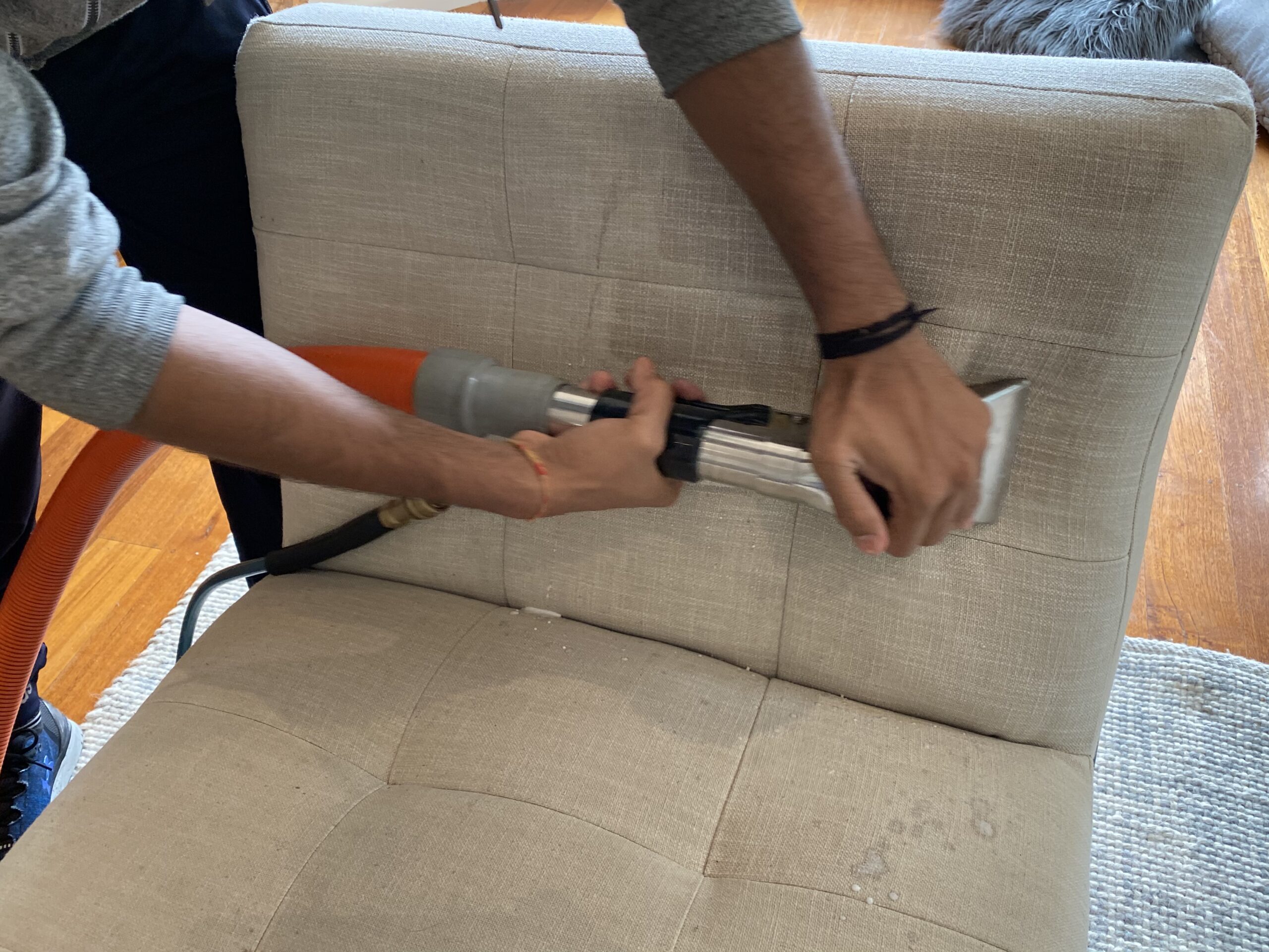 pet urine smell problems