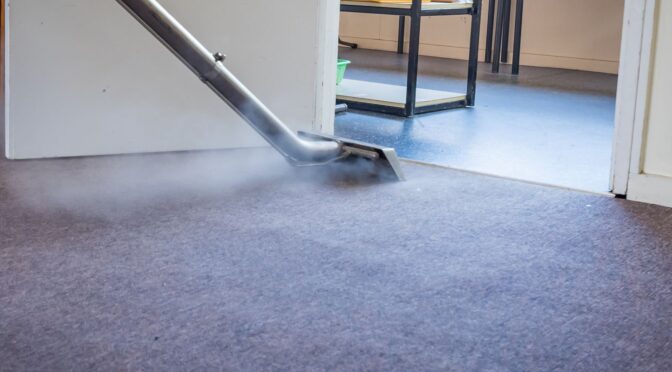 Why Professional Pet Stain Removal is Worth It for Long-Term Results
