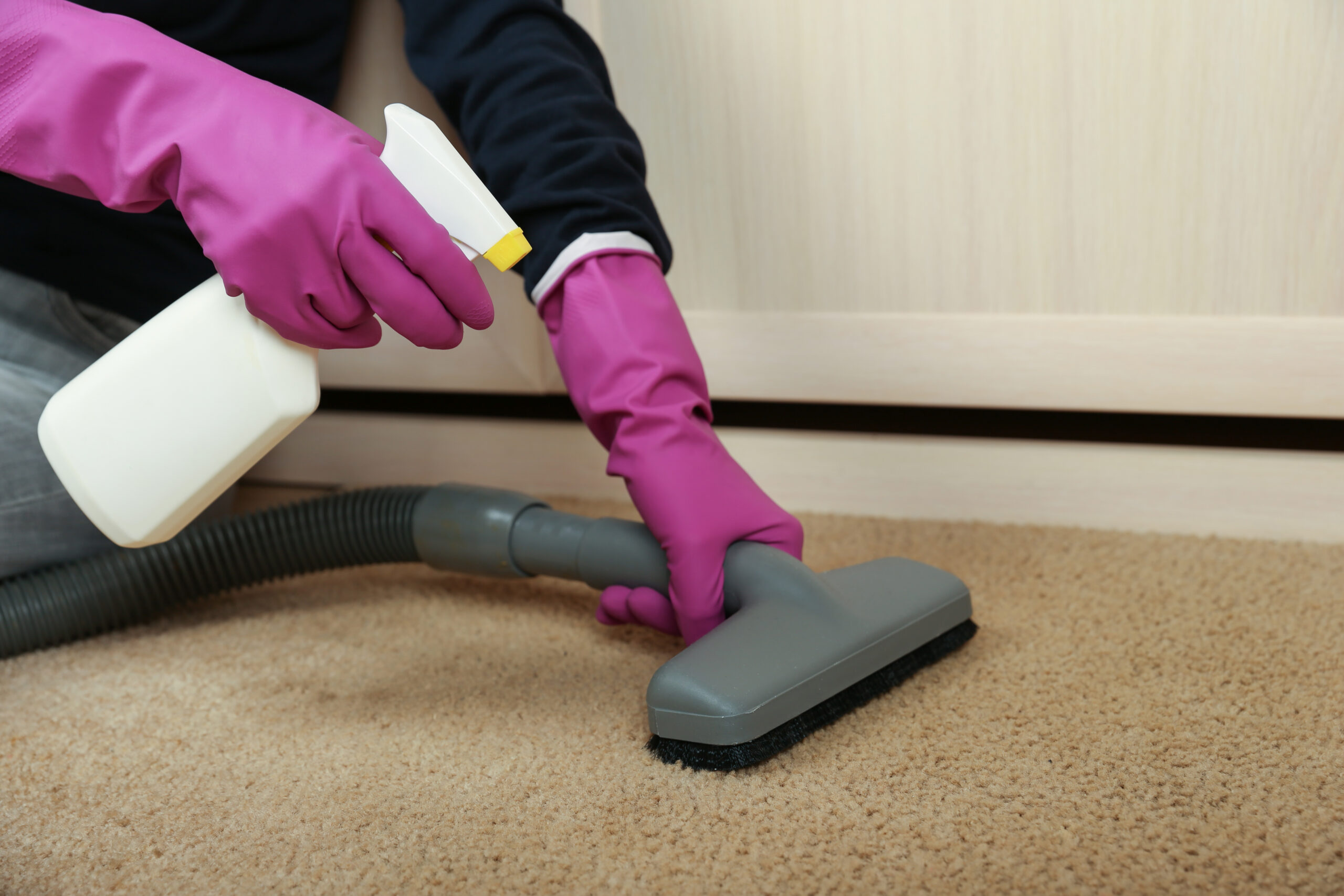 rug pet stain removal